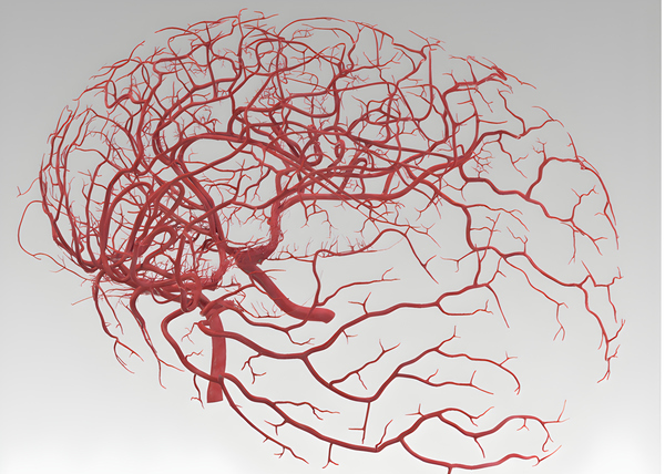 3D robot navigation could enable multi-site medical procedures