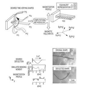 Method of fabricating a shape-changeable magentic member, method of producing a shape changeable magnetic member and shape changeable magnetic member 