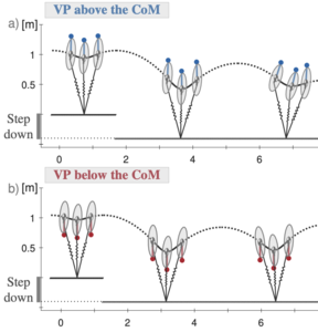 VP above or below? A new perspective on the story of the virtual point