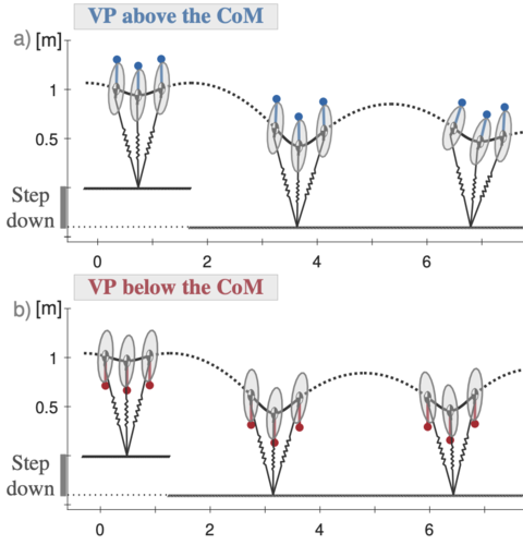 VP above or below? A new perspective on the story of the virtual point