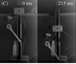 Viscous Damping in Legged Locomotion