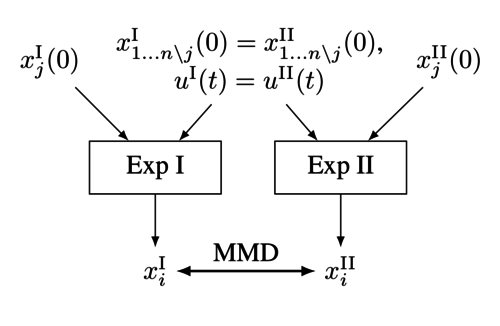 Identifying Causal Structure in Dynamical Systems