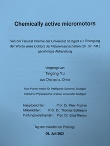 Chemically active micromotors