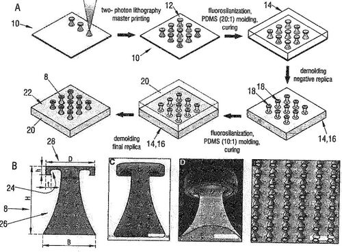 A Liquid Repellent Fibrillar Dry Adhesive Material and a Method of Producing the Same