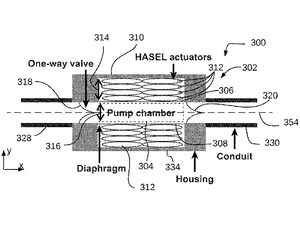 Hydraulically Amplified Self-Healing Electrostatic (HASEL) Pumps