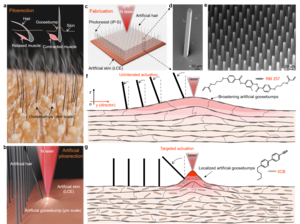 Artificial-goosebump-driven microactuation