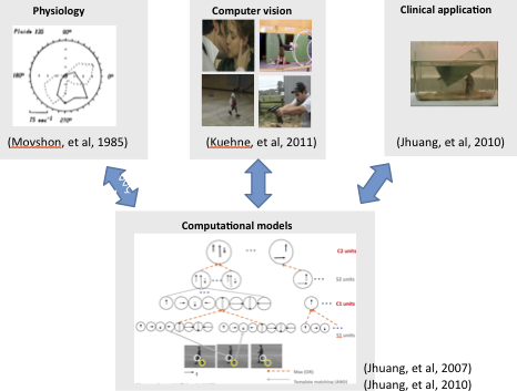 Dorsal Stream: From Algorithm to Neuroscience